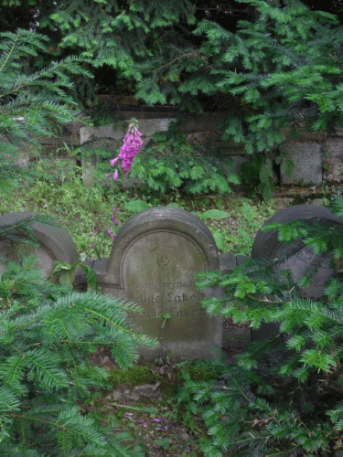 Foto Liberec: Deutscher Grabstein 5