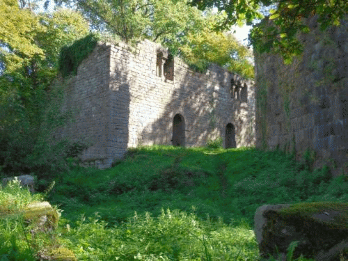 Foto Burg Eberbach: romanische Fenster