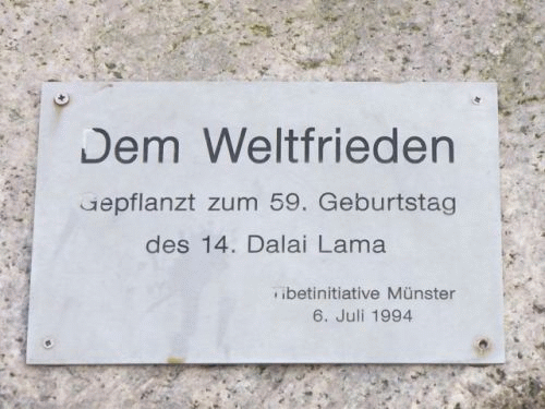 Photo Mnster: inscription for the Dalai Lama's birthday