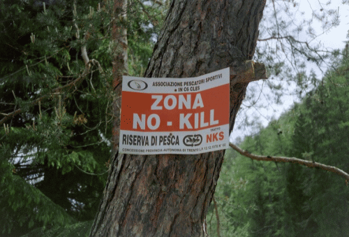 Photo Fondo : no killing sign