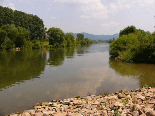 Foto Edingen: Neckar flussaufwrts und Zufluss zum Krtenneckar