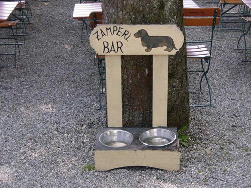 Foto Munique: bar dos cãozinhos