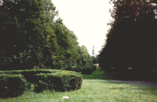 Photo Zamosc : vue du parc vers la mairie